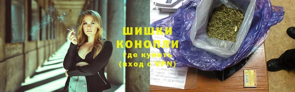 дмт Пестово