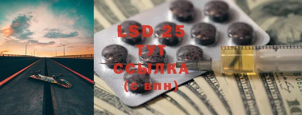 шишки Пересвет