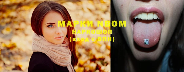 дмт Пестово