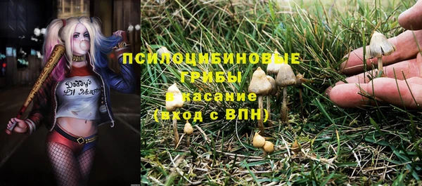шишки Остров