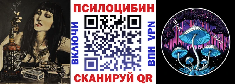 купить наркотики цена  Новопавловск  mega рабочий сайт  Псилоцибиновые грибы мухоморы 